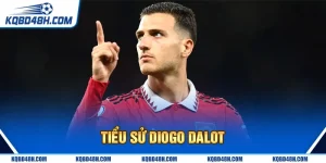 Tiểu sử Diogo dalot